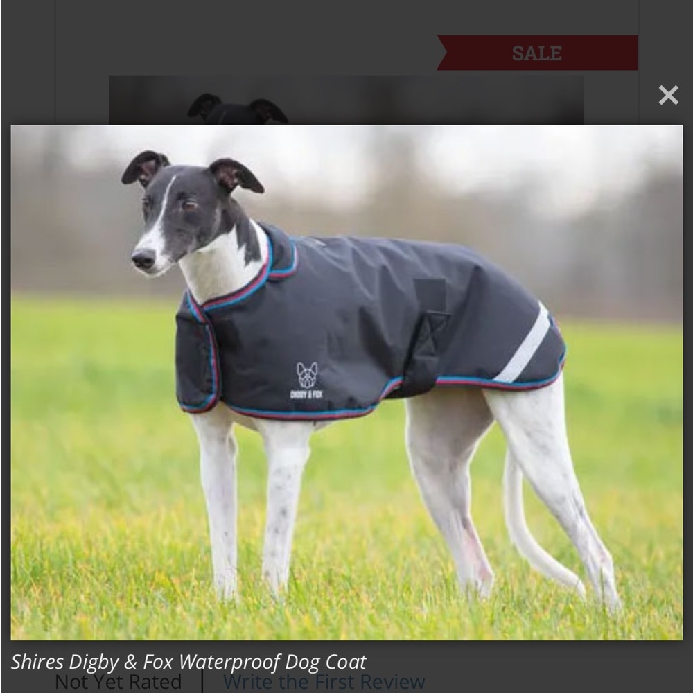 Shires Digby & Fox Waterproof Dog Coat - Picture 2 of 4